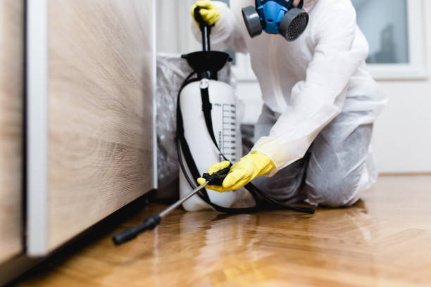 Best Pest Prevention Services  in Bryant, WA