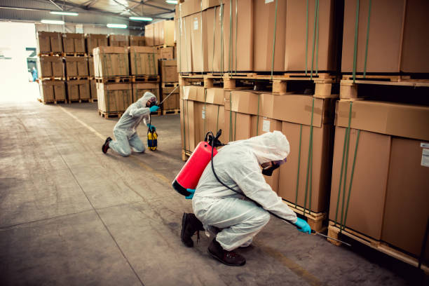 Best Emergency Pest Control  in Bryant, WA