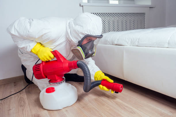 Best Wasp Removal Services  in Bryant, WA