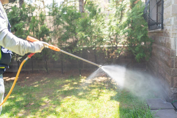 Best Residential Pest Control  in Bryant, WA