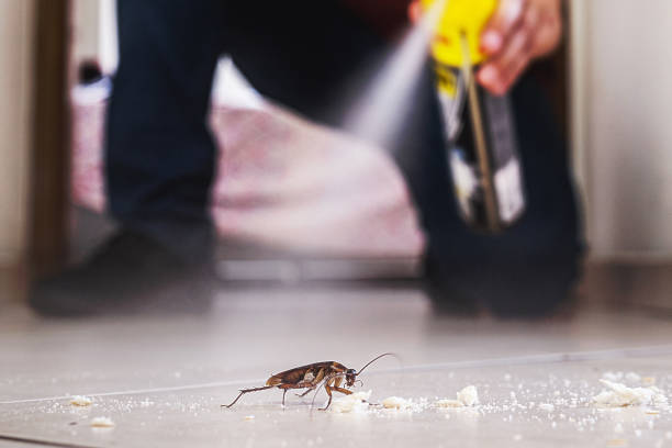 Best Cockroach Control Services  in Bryant, WA