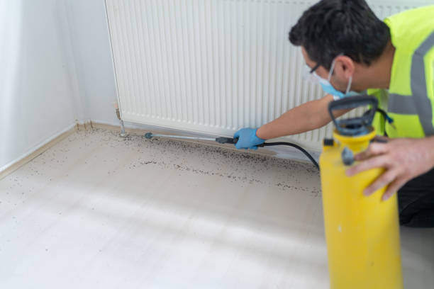 Best Pest Removal Services  in Bryant, WA