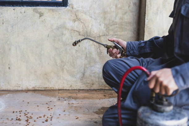 Best Affordable Pest Control Services  in Bryant, WA